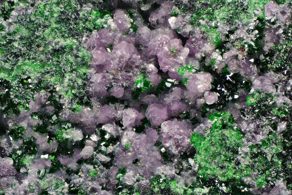 ちむら tweet media