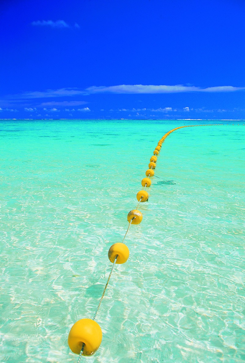 Mauritius Island tweet media