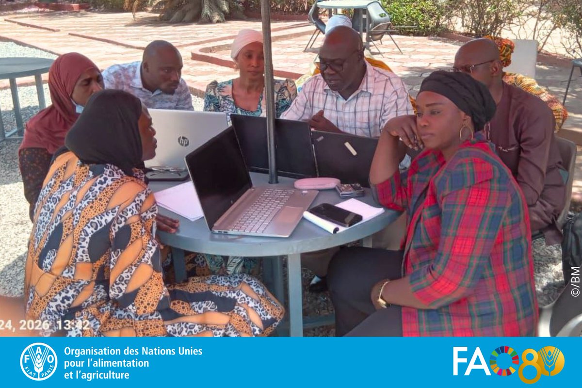 FAO Guinée tweet media