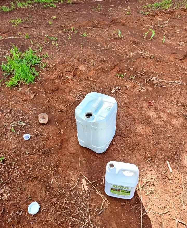 WildCanvas tweet media