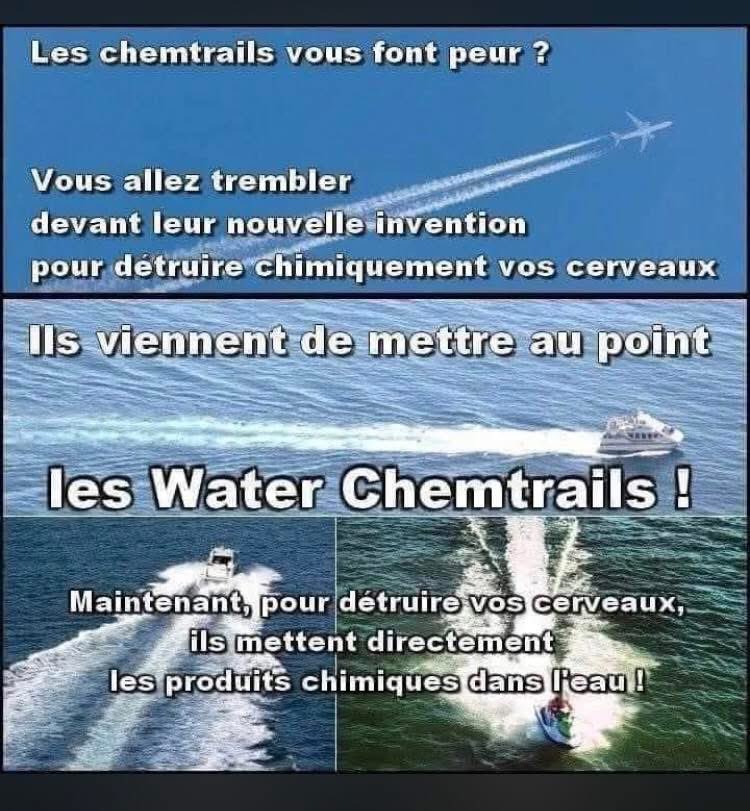 Level DLB tweet media