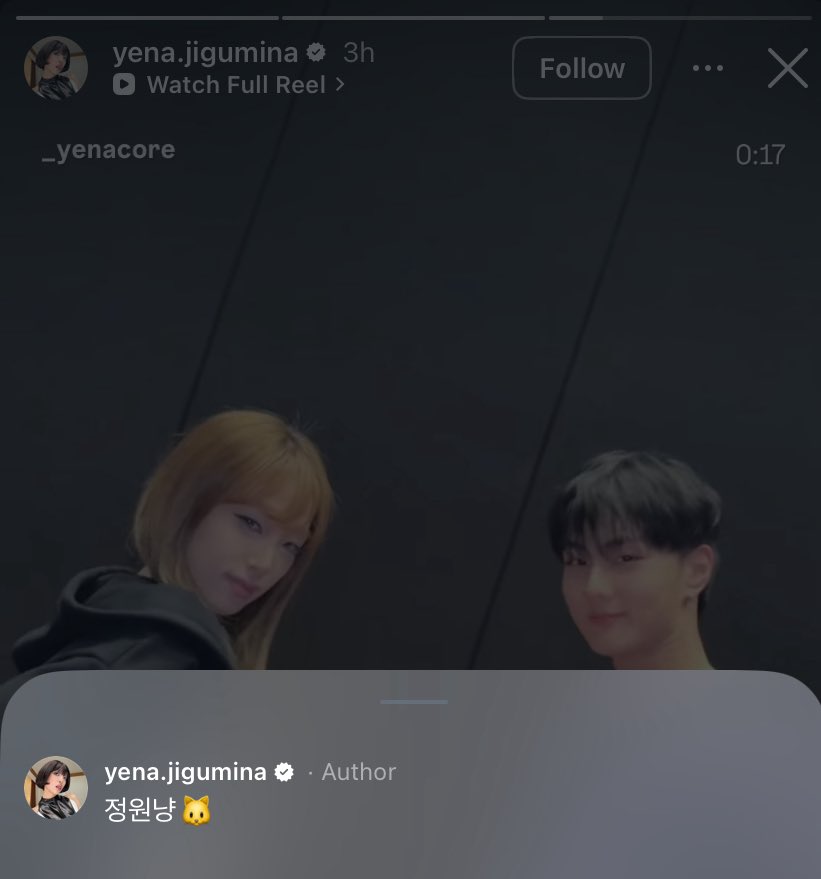 kittyy.jw🐈 tweet media