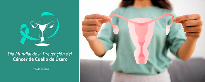 MSD Profesionales tweet media