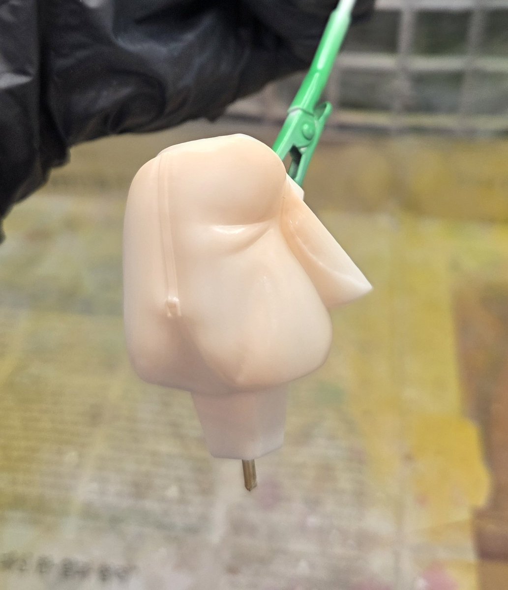 HASO🦊 tweet media