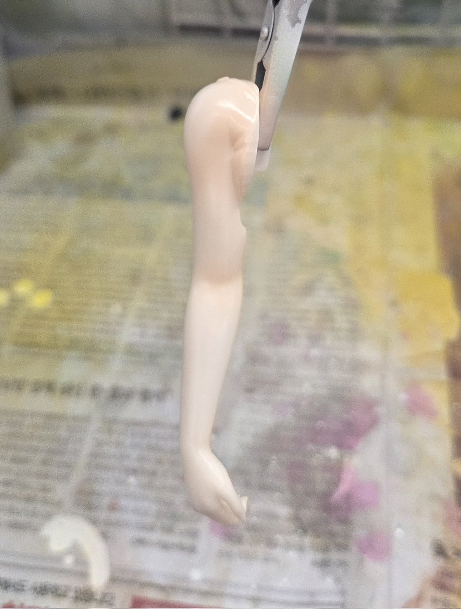 HASO🦊 tweet media