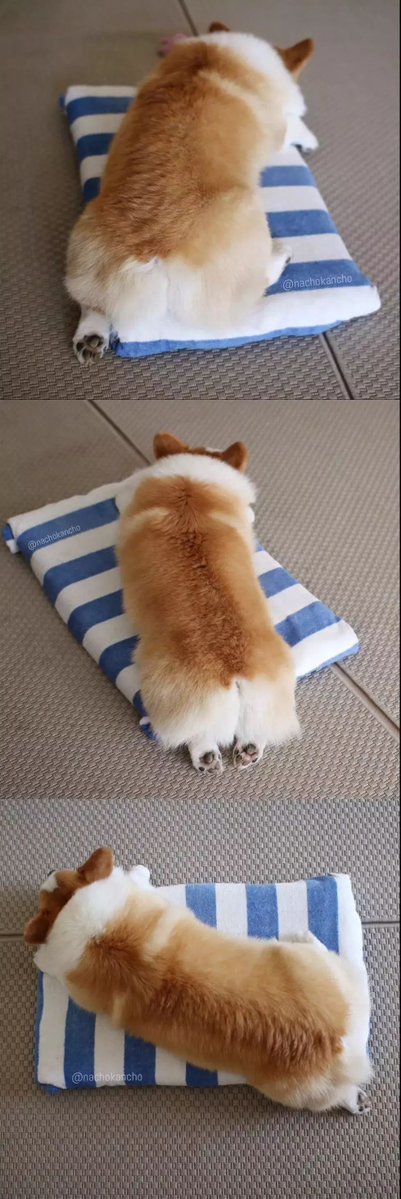 gabriel almeida tweet media