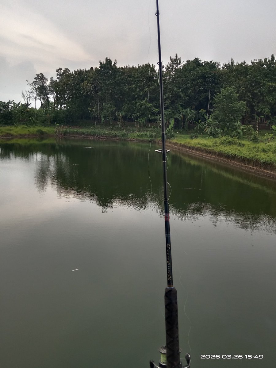 kata nami バッタ tweet media