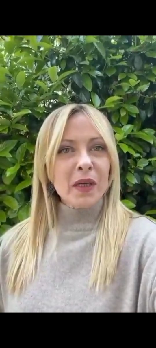 🍉🇵🇸 e tweet media