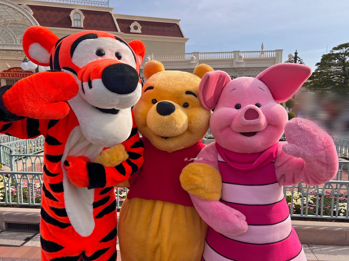 ホンマかいなぁ tweet media