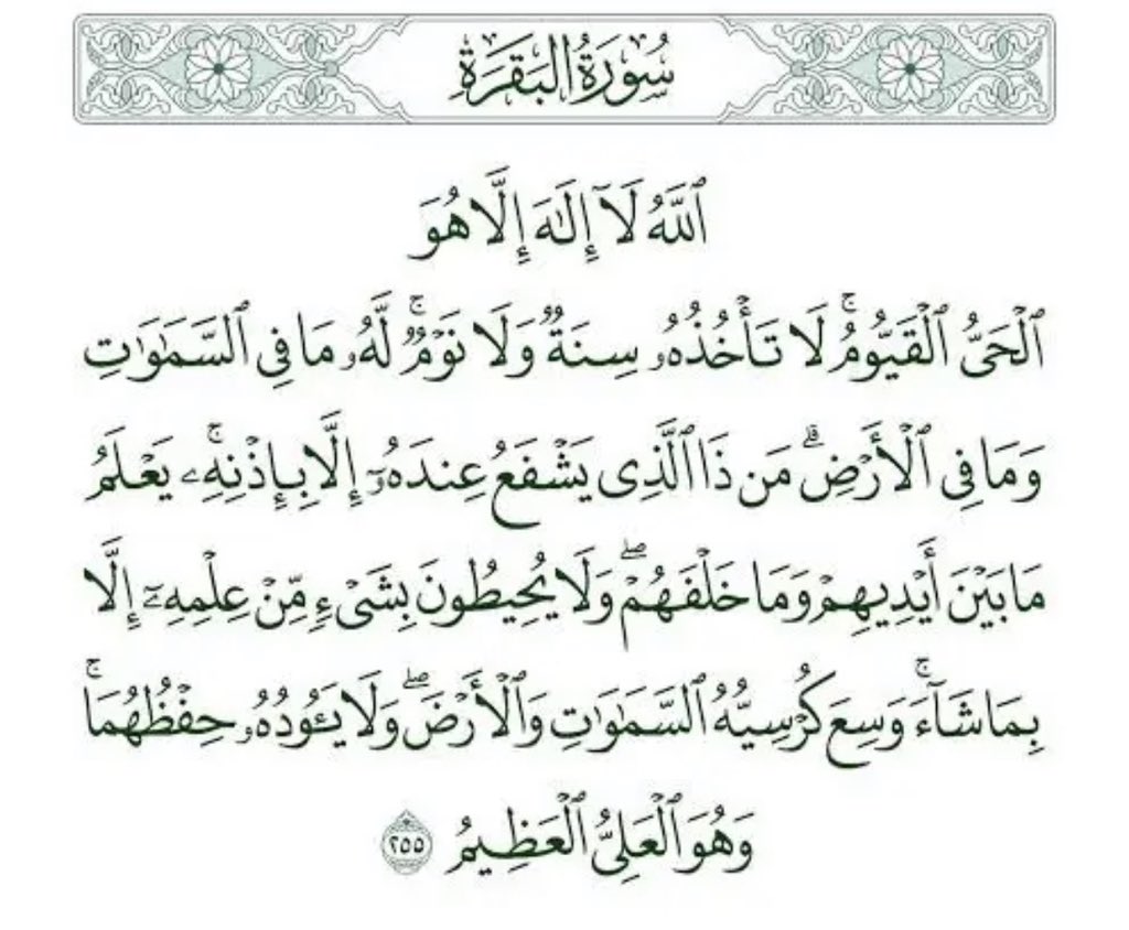 فطوم💙 الحربي tweet media