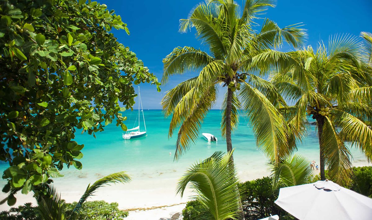 Mauritius Island tweet media