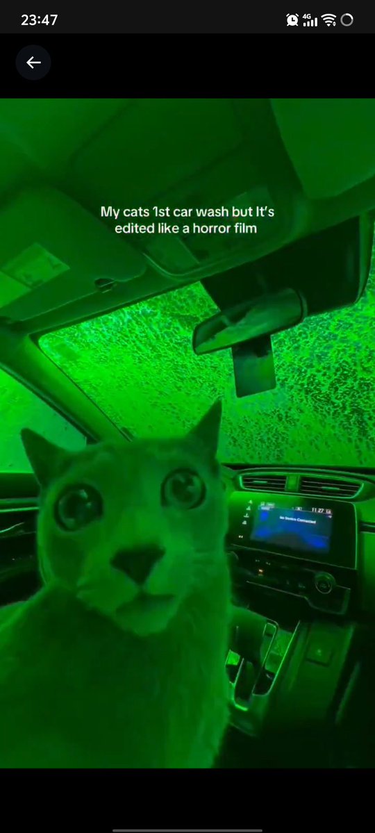 ThatOneGuy tweet media