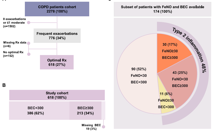 Frits Franssen tweet media