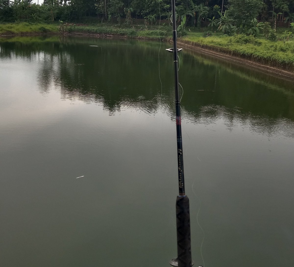 kata nami バッタ tweet media