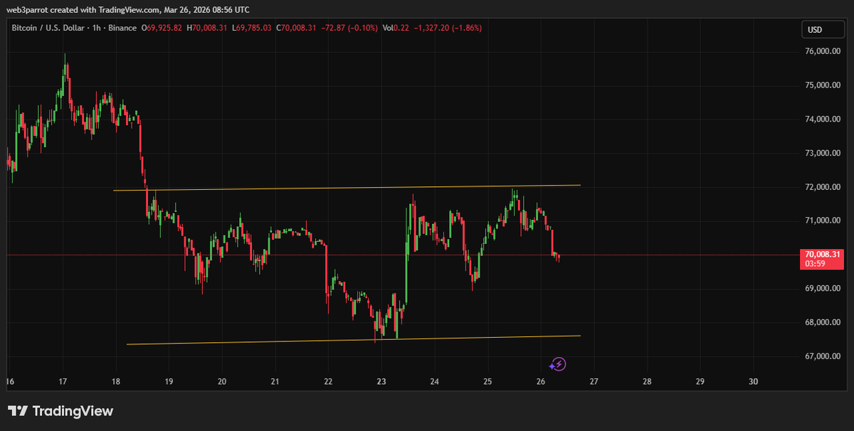 Web3 Parrot tweet media