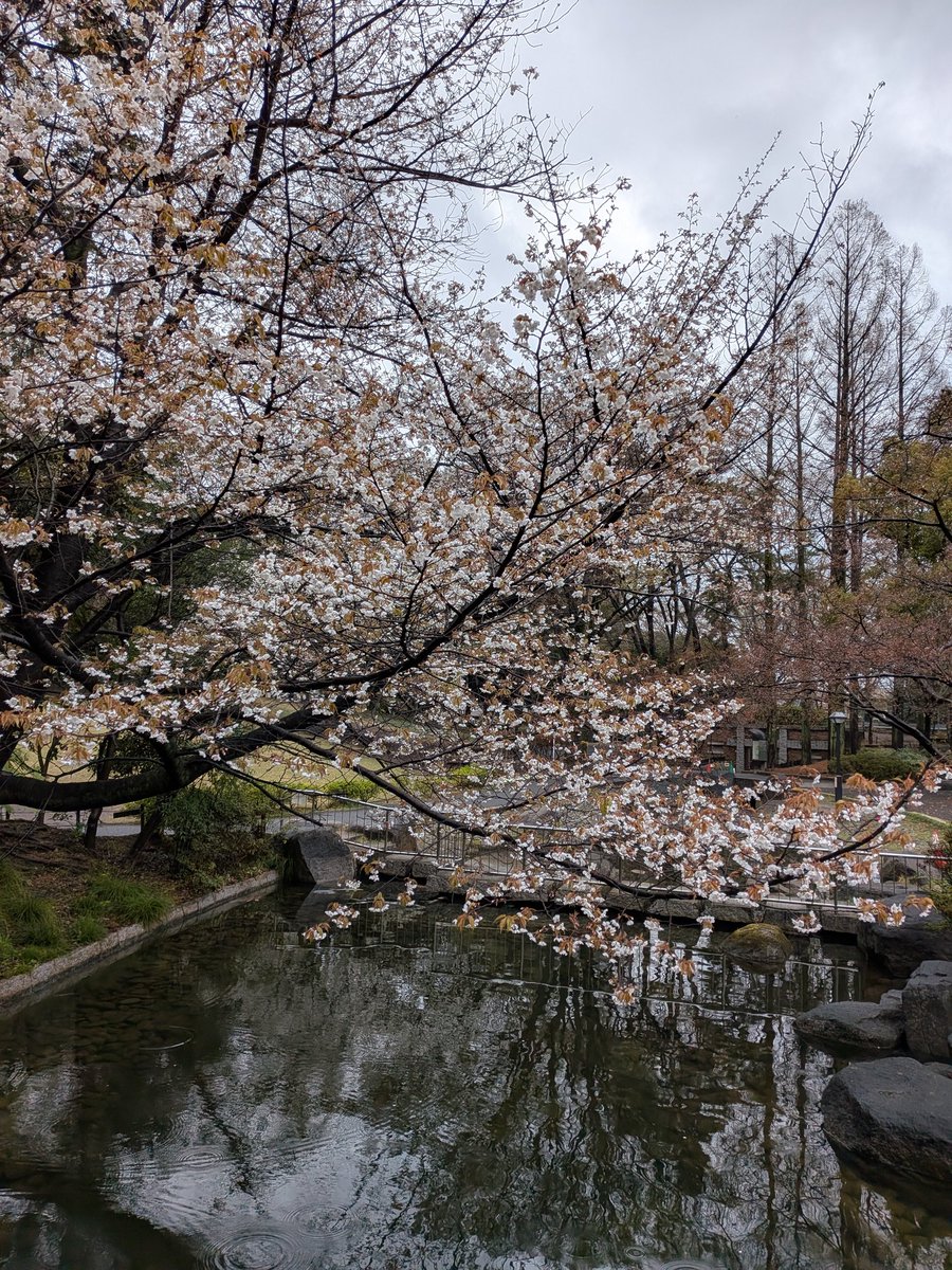 ゾルタン犬@5/4文学フリマ東京パナトリエ tweet media