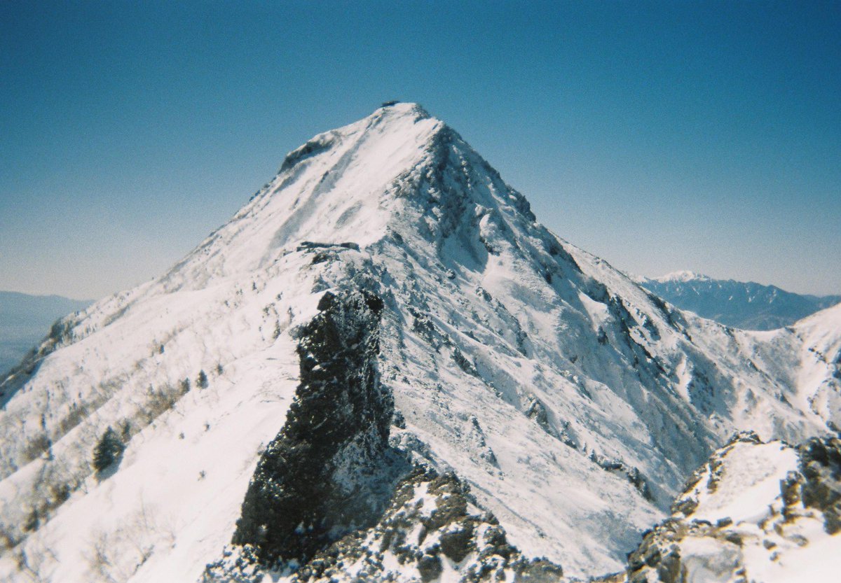 461a（シム tweet media