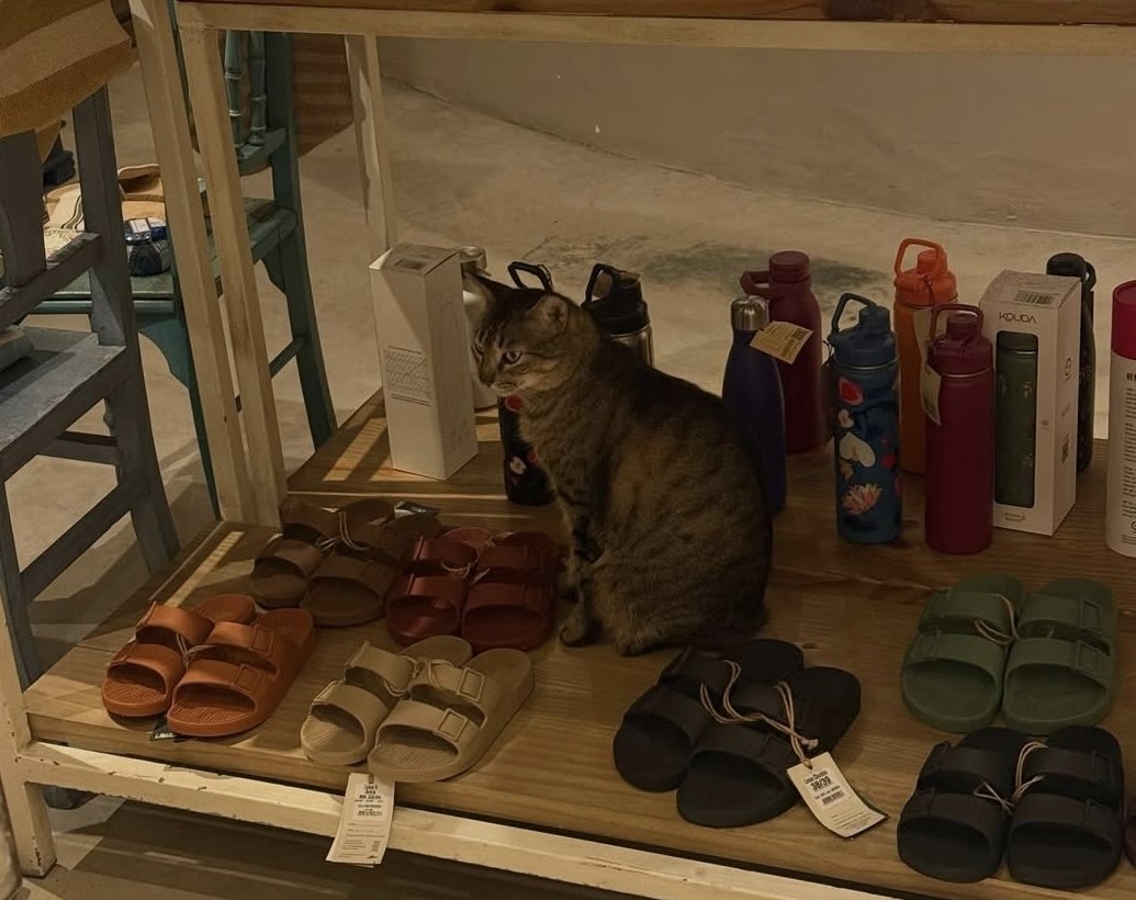 🌈🌈 Mel has stolen your 💜 🌈🌈 tweet media