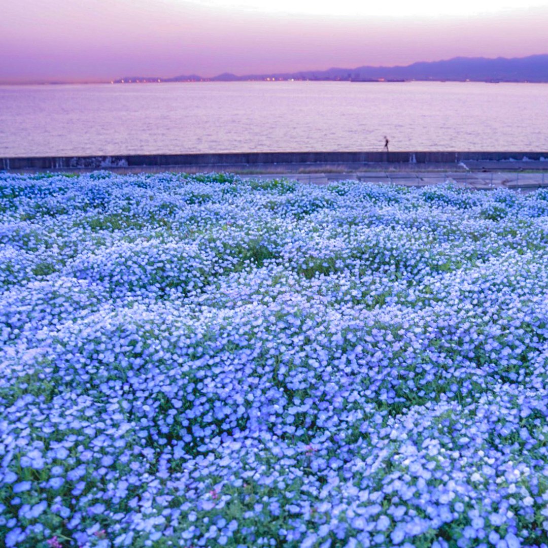 Trip.com tweet media