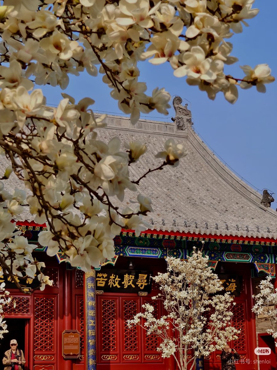 胡桥桥🇨🇳（互fo） tweet media