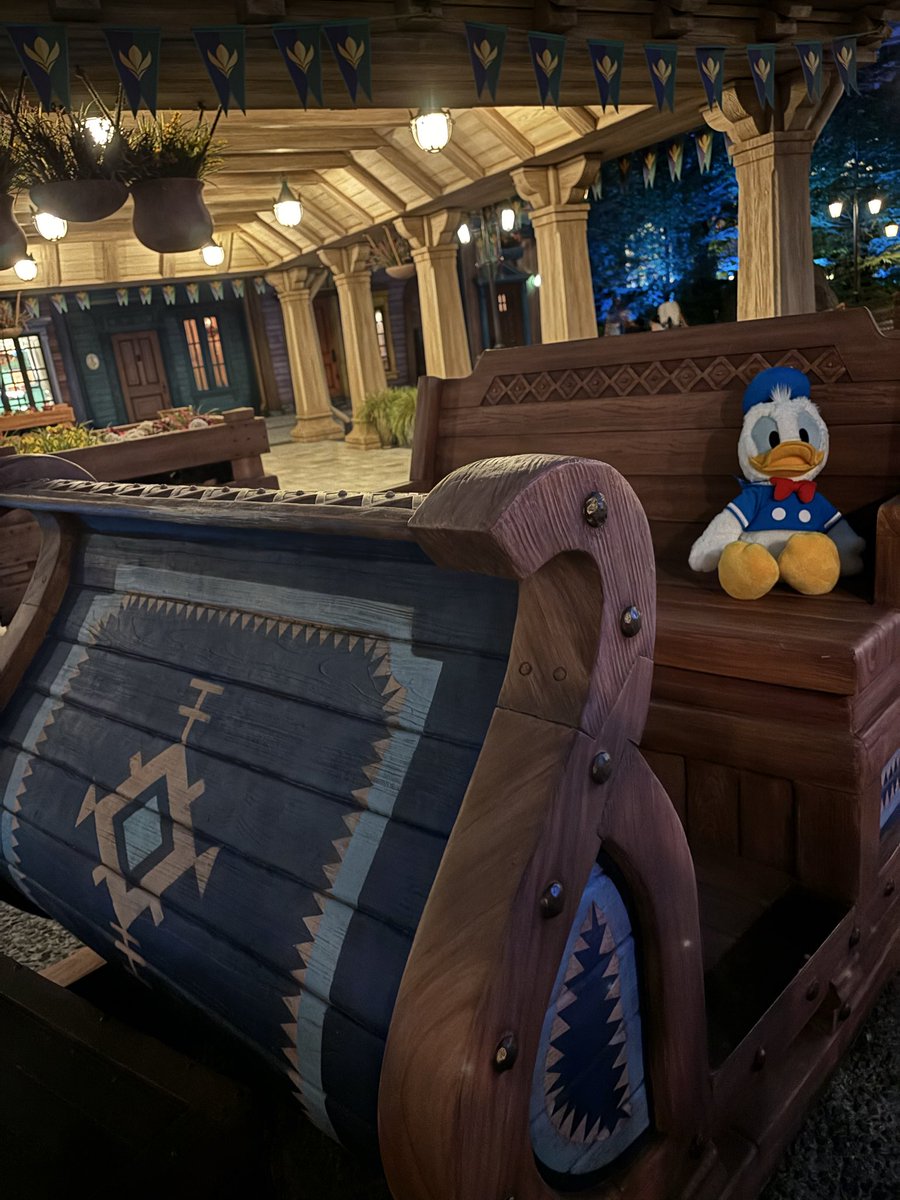 ぽよん D垢 tweet media