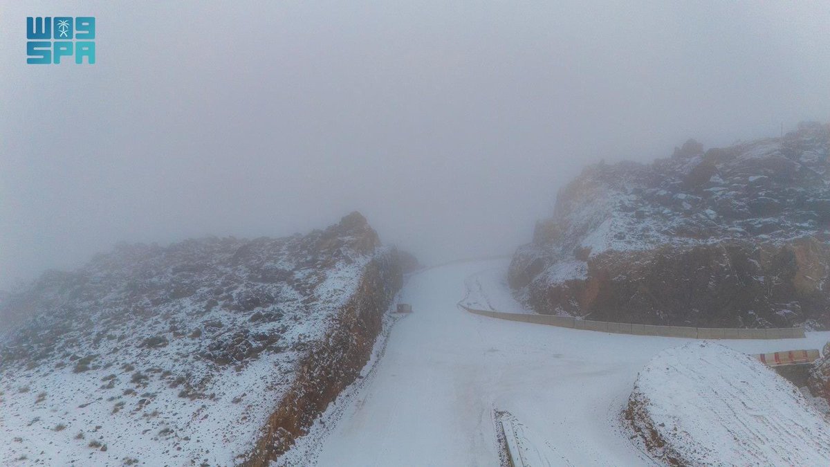 إمارة منطقة تبوك tweet media