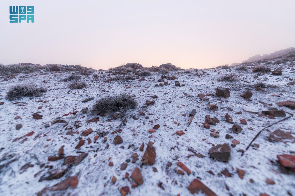 إمارة منطقة تبوك tweet media