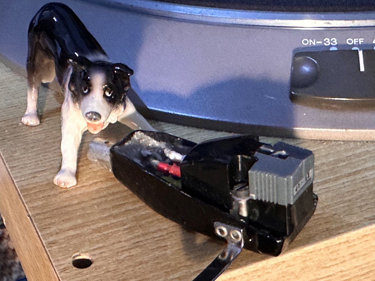 ꧁༒Леопольд༒꧂ tweet media