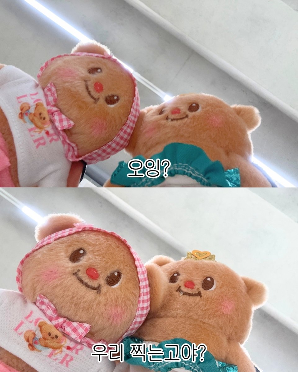 Butterbear.kr tweet media