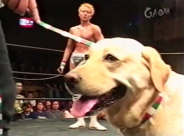 ElHijoDelSimon's tweet photo. only big dog i'm trying to hear about 

(T2P Los Conquistadores Day Two, 6/6/2002) https://t.co/TTYnPEPBVw