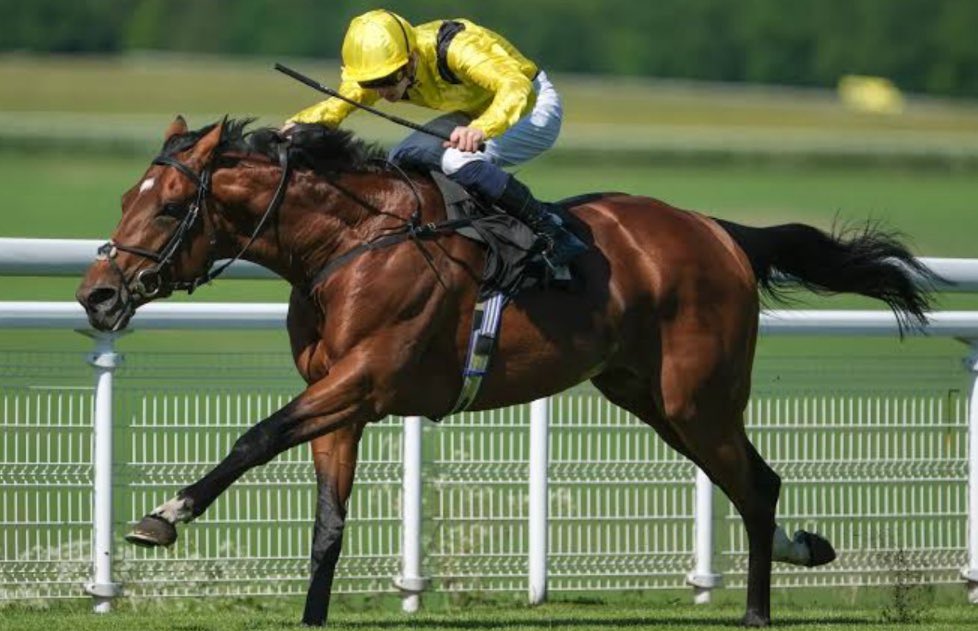 sultan | 🇰🇼 سلطان عايد الشمري tweet media