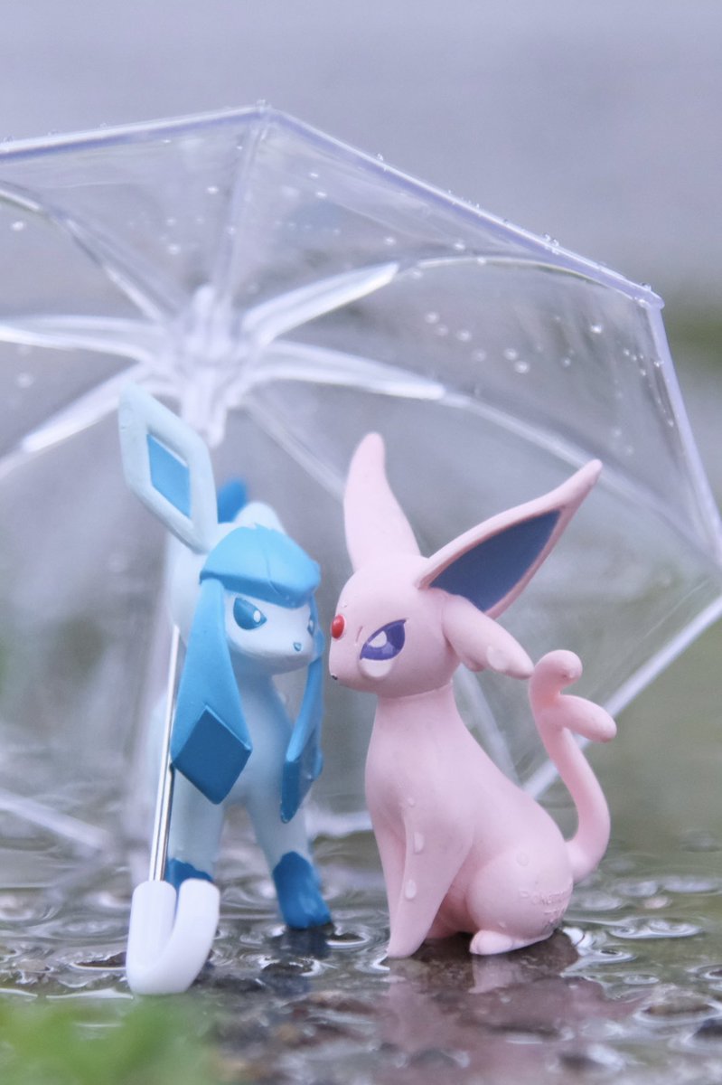 カオルぴ📷 pokephotographer tweet media