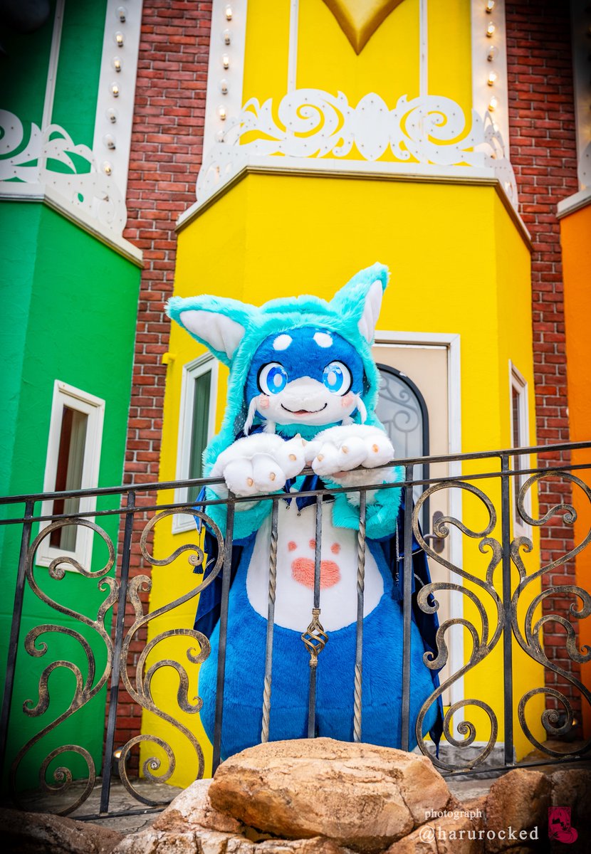 はるかぜ tweet media