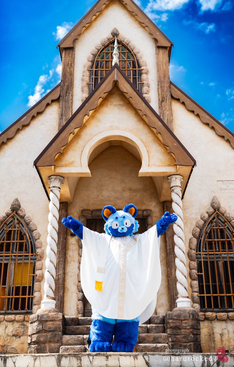 はるかぜ tweet media