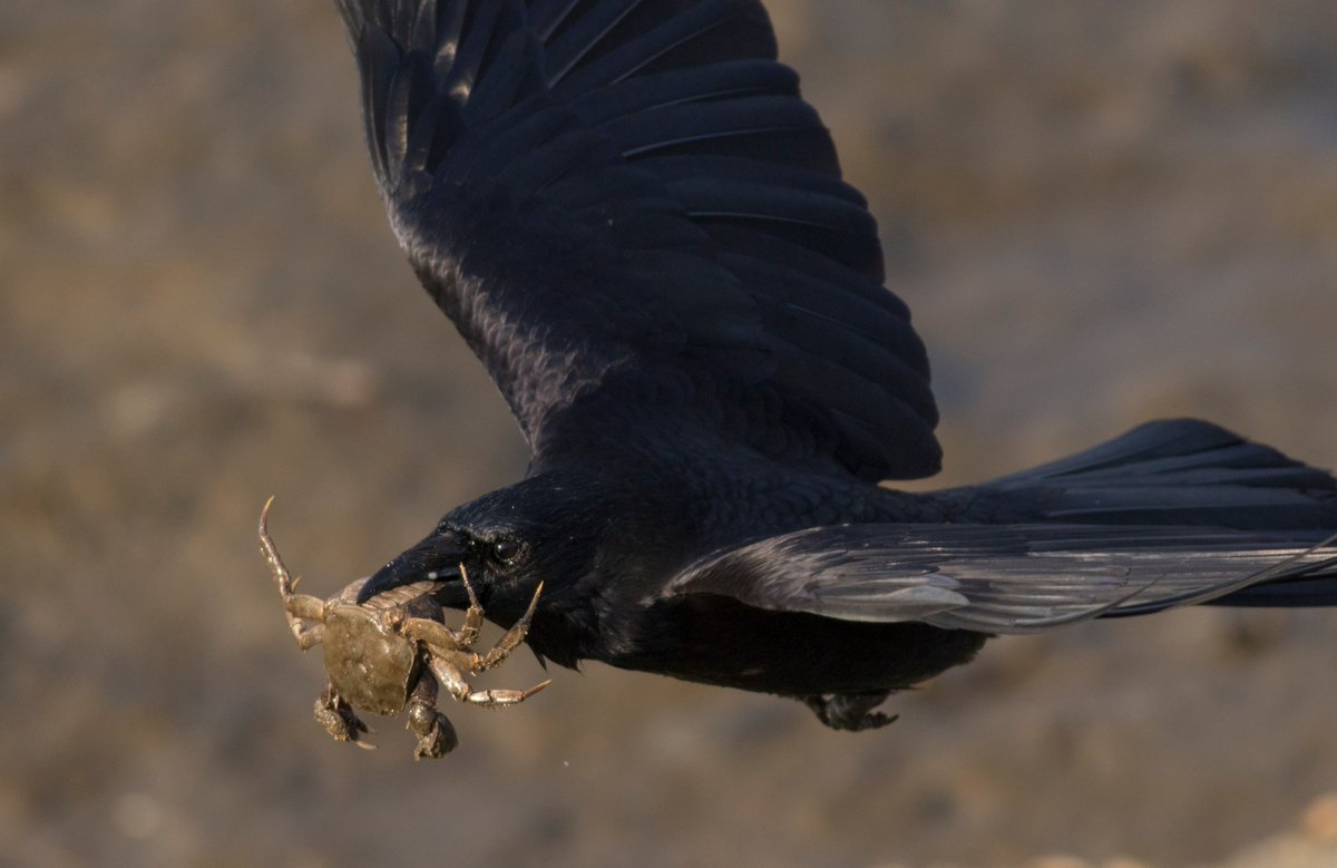 宮本 桂 tweet media