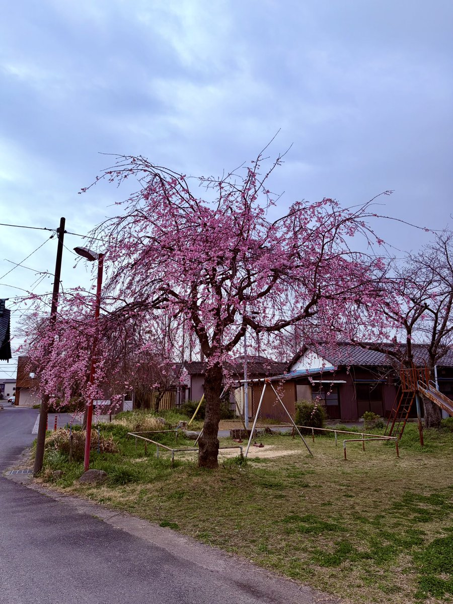大相模不動尊・眞大山大聖寺 tweet media