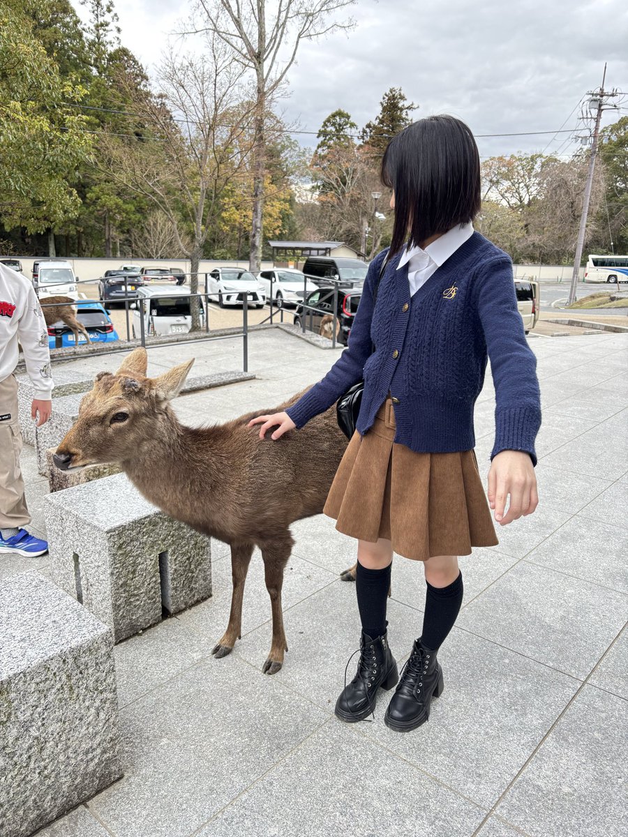 伊藤光音(いとうみお)パパママ管理 tweet media