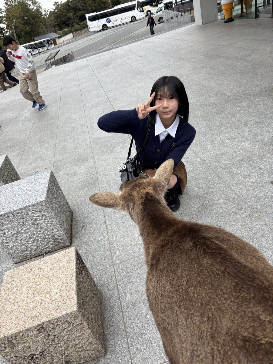 伊藤光音(いとうみお)パパママ管理 tweet media