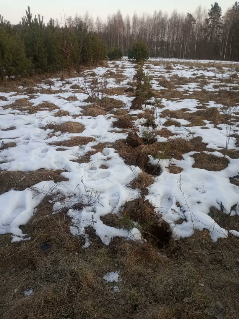 GEN Ukraine Ecovillage #Octant #GG23 tweet media