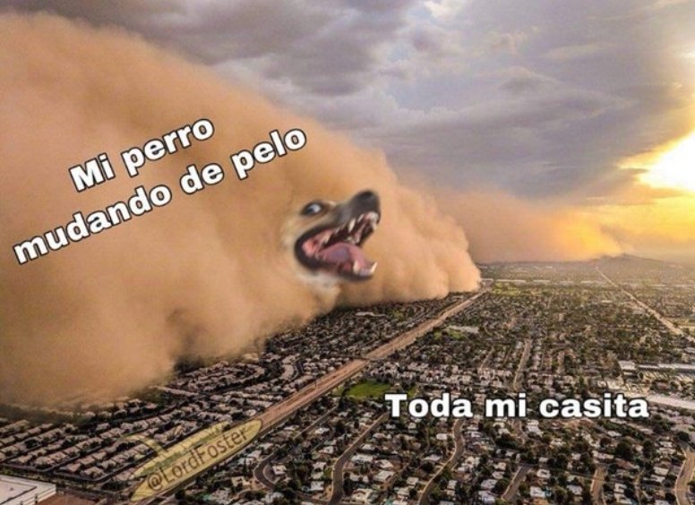 Duque de Caixas tweet media