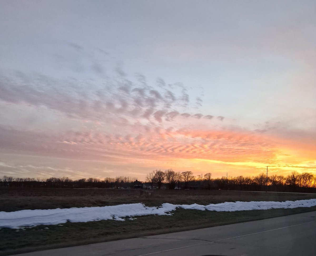 MamaBear ❤️🐻🏈 tweet media