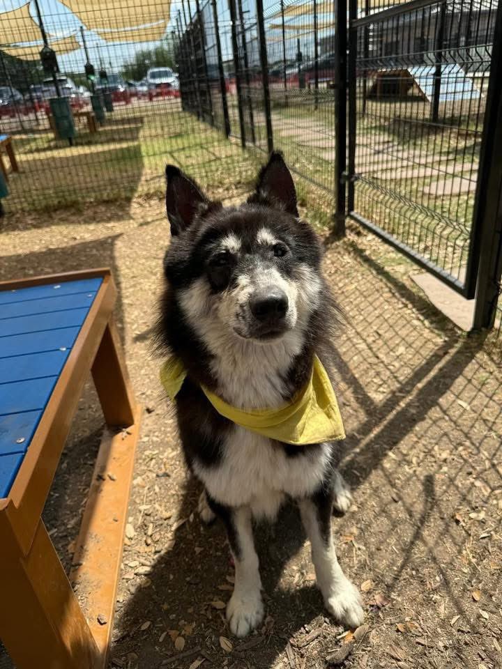 Aurora ⸆⸉ misses Liam ❯❯❯❯ tweet media