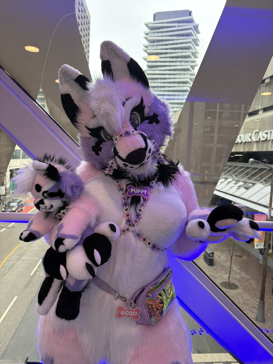 Mystic 🔜 FWA tweet media