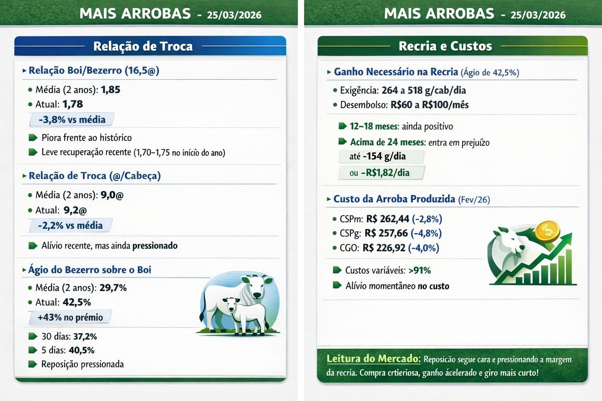 João Menezes & Associados/ GTEPS / Pecuária Já tweet media