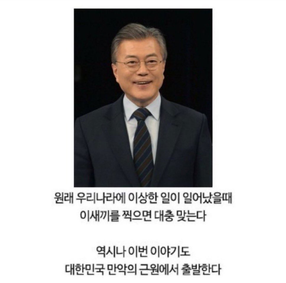 미스터쿵(with 진정성) tweet media