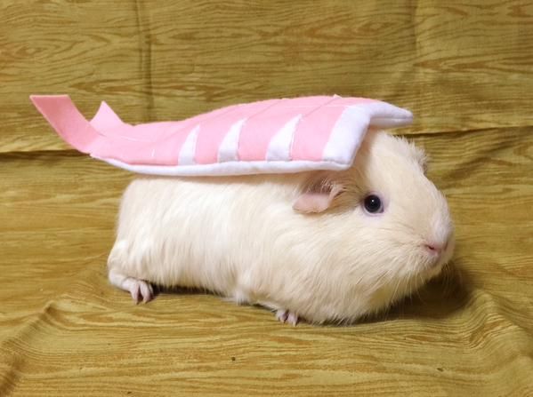 valentine 🍀 tweet media