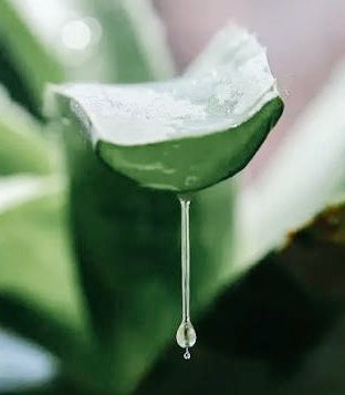 I fall, I stand tweet media