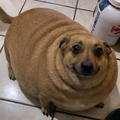 moonkase tweet media