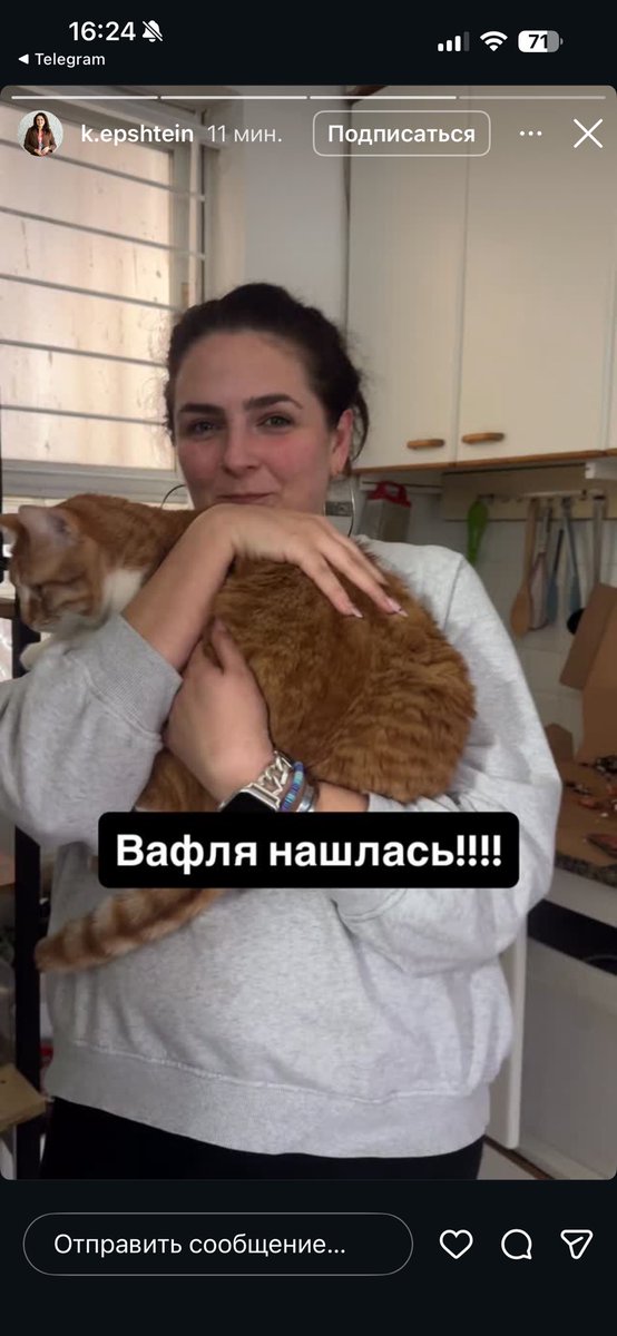 Моцкинская Панда 🇮🇱 tweet media