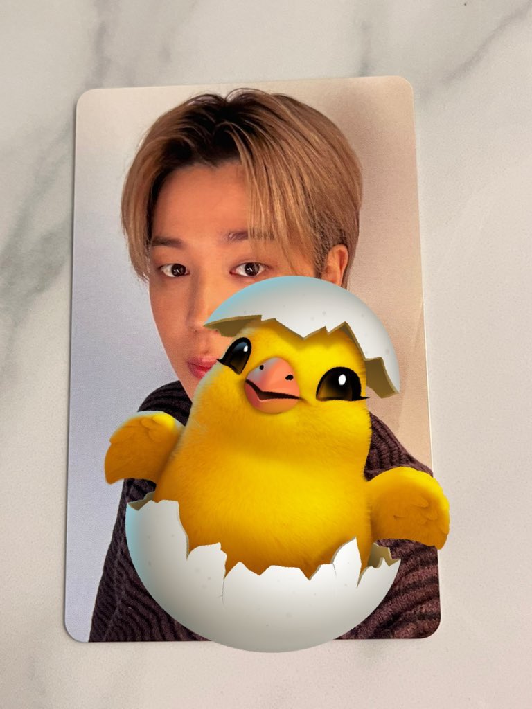 모에카 / もえか 🐻🐱 tweet media